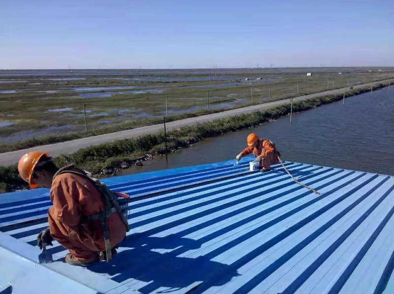 河东钢结构屋面漏水原因